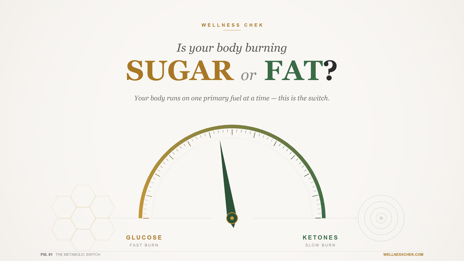 Burning Sugar or Fat?